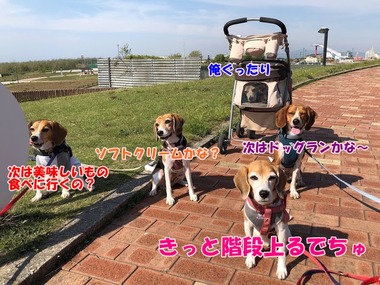 EC867886-3E92-4F31-949B-7D8F0494C818