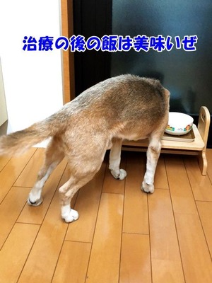 FLLK7584