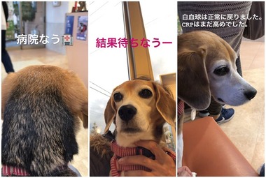11月9日病院