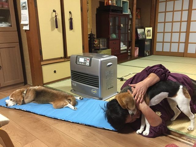 暖房代が節約された話 ガオだらけな日々