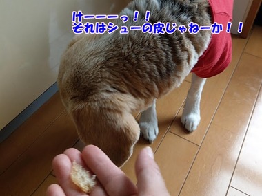 IMAG0926