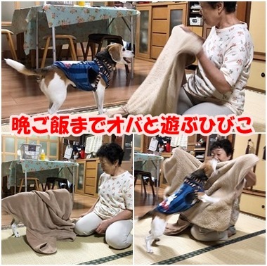 9月12日