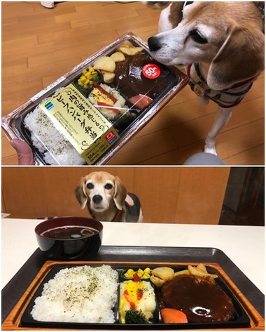 コンビニ弁当