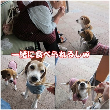 道の駅2