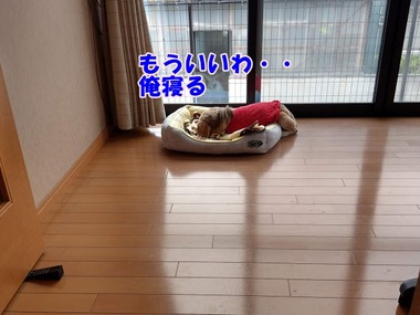 IMAG0932