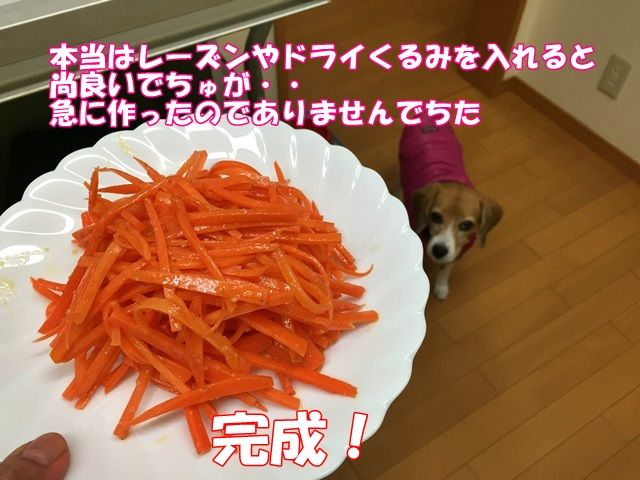 人参サラダpart2 ガオだらけな日々 人参サラダpart2 ガオだらけな日々