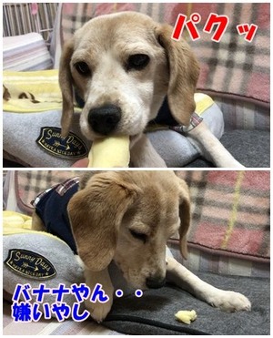 東京ばなな