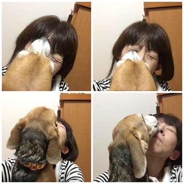 ひびこ