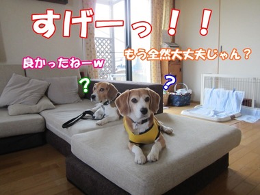 a02bc3b0ffe92d94efd1f3c195583f4e