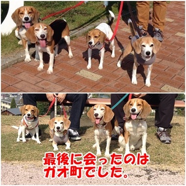 2013年金沢
