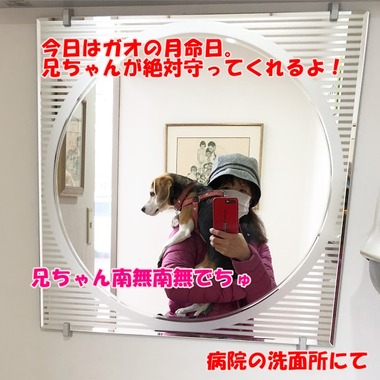 6D9C2F72-C137-45D1-9F91-643EE77CEA16