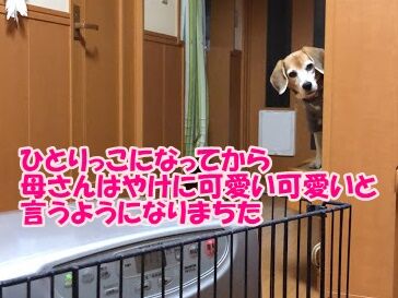 32DC92FB-97B9-47EC-80A6-81308130D5C4