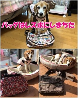 レスポ