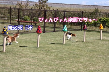 IMG_9579