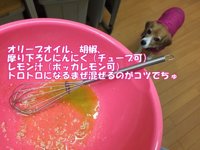 人参サラダpart2 ガオだらけな日々 人参サラダpart2 ガオだらけな日々