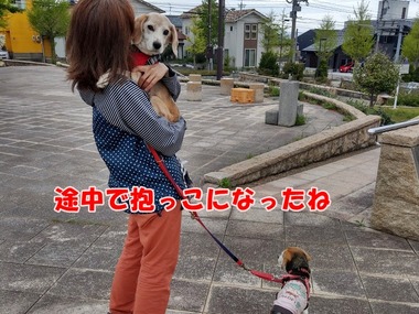 IMAG0960