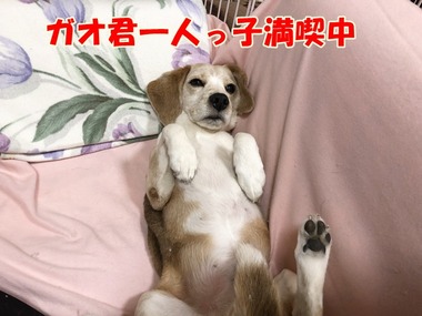 1月8日 (5)