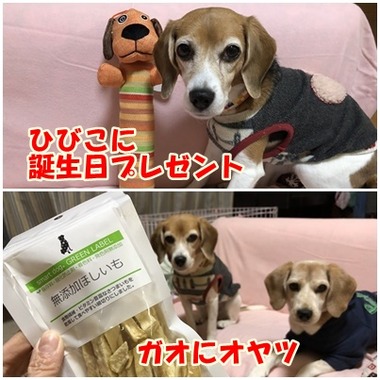 プレゼント