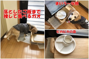 ガオめし