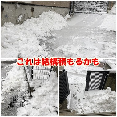2月5日
