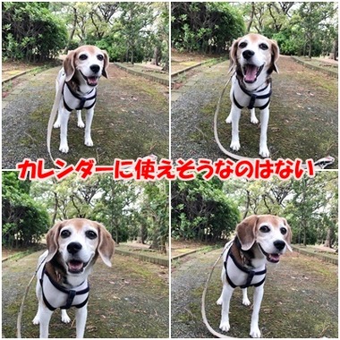 お台場