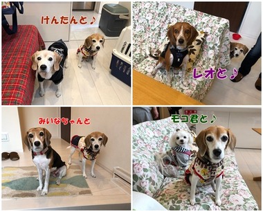 2ショット