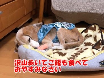 50F7C591-895E-4359-886C-A43E8496D31F