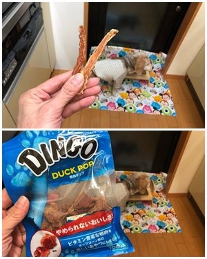 ブーム