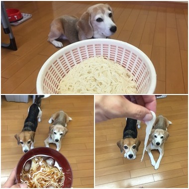 そうめん