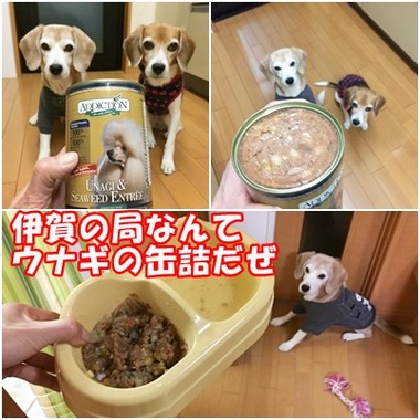 うなぎ