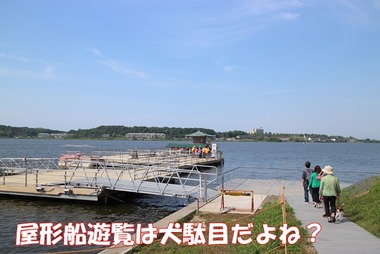 IMG_8854
