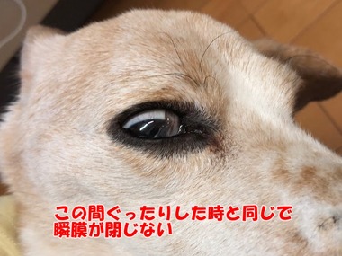 581334603.745081