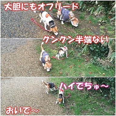 遊歩道
