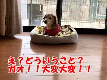 351548BD-6A4F-4635-97A5-99DE8574F15D