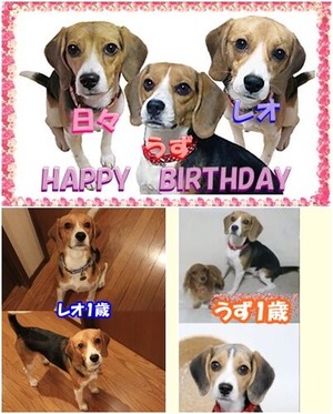 1歳