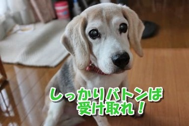 20150506_625571