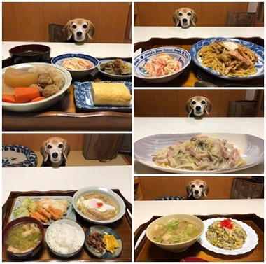 晩ご飯