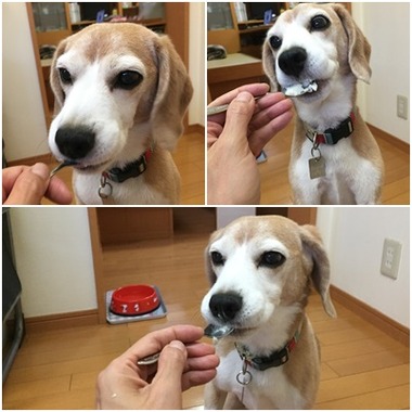 アイスひとりじめ