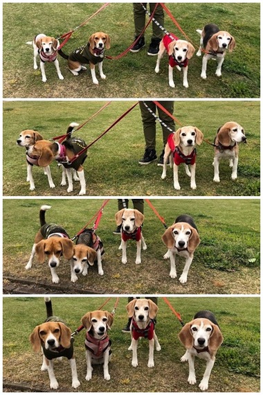 集合写真