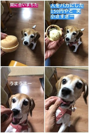 モナカアイス