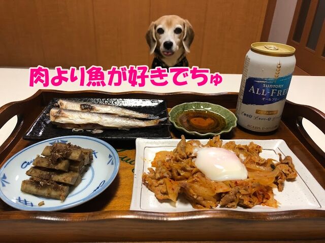 プロフィールと9月23日 ガオだらけな日々 プロフィールと9月23日 ガオだらけな日々