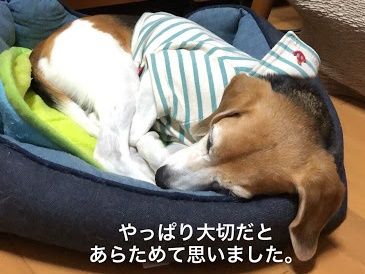 11C5E7B5-EF89-44CA-9FE0-64714C8EBF79