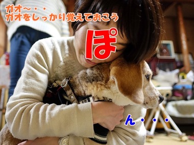 DSCF7601