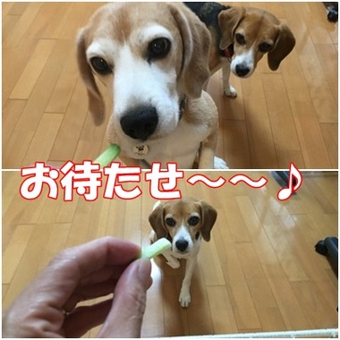 お待たせ