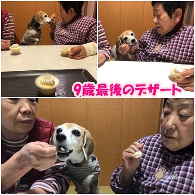 デザート