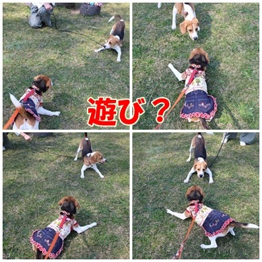 遊び