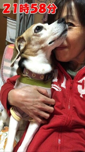 E24581C5-A858-41D9-9F88-5A441B4ECE57