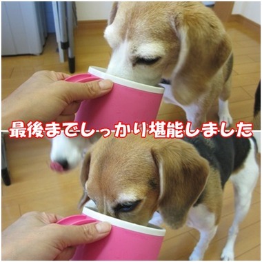 くるりんあいすくりん