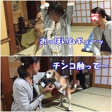へこへこ2