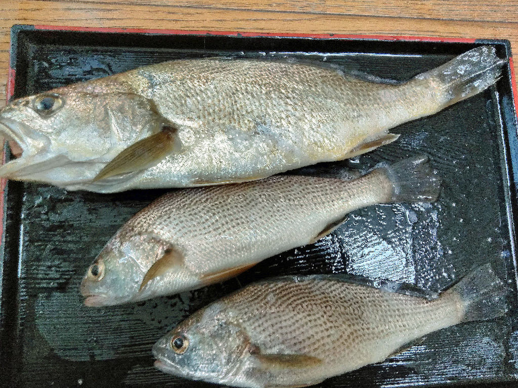 イメージ 5